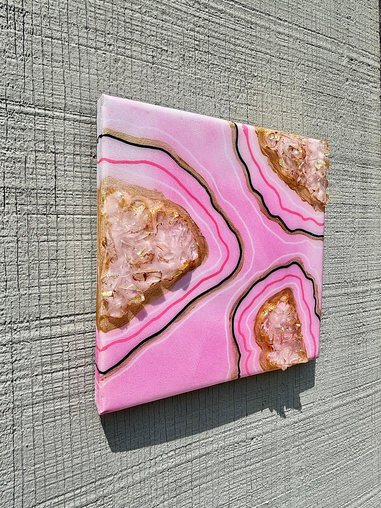 “Pretty in Pink” Canvas Duo