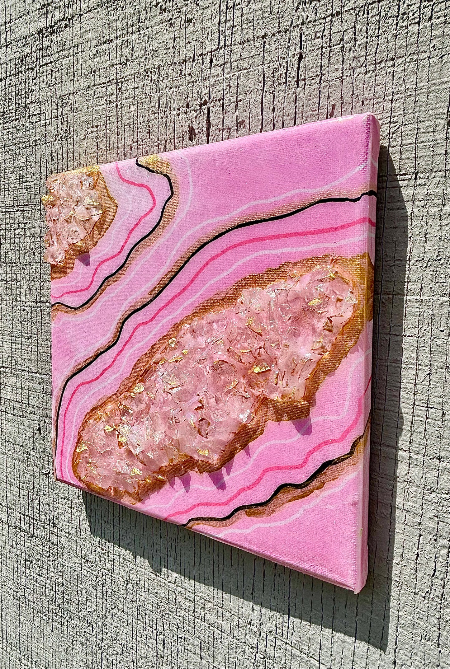 “Pretty in Pink” Canvas Duo